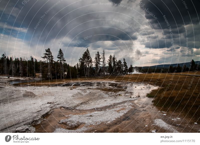 There'll be rain. Vacation & Travel Adventure Round trip Nature Landscape Storm clouds Climate Climate change Weather Bad weather Thunder and lightning Forest