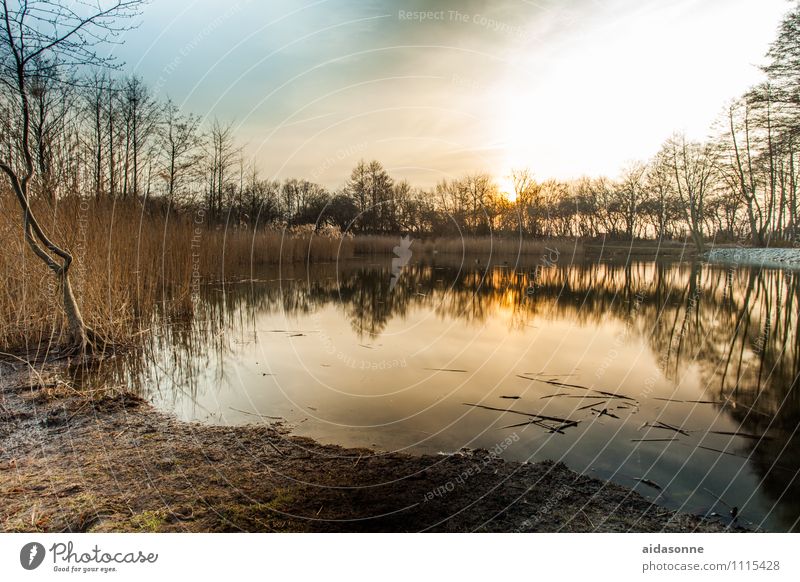 millpond Landscape Water Sky Night sky Sunrise Sunset Beautiful weather Lakeside Pond Emotions Contentment Romance Peaceful Serene Calm Loneliness "Mill pond