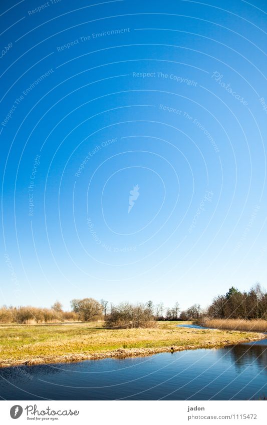 land on the banks of the river. Elegant Calm Island Garden Environment Nature Landscape Water Sky Beautiful weather Plant Grass Bushes Meadow Field Coast