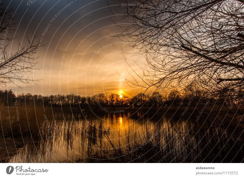 millpond Landscape Water Night sky Sunrise Sunset Beautiful weather Pond Contentment Romance Calm Fatigue Loneliness Rostock Mecklenburg-Western Pomerania