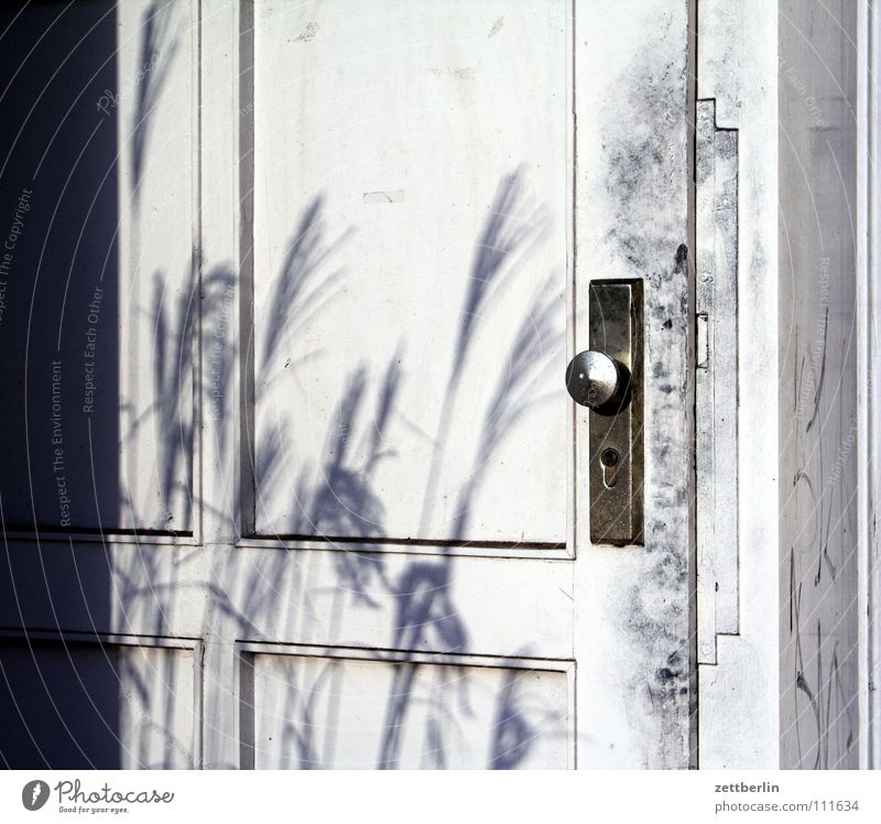 door Entrance Way out Knob Doorknob Key Unlock Close Grass Detail Obscure Living or residing door leaf Castle keychild Shadow Marsh grass