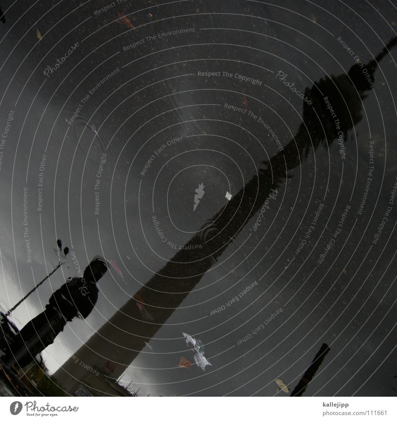 clearance sale III Transmitting station Puddle Reflection Man Human being Architecture Berlin TV Tower Water Silhouette Diagonal Tilt Surface of water