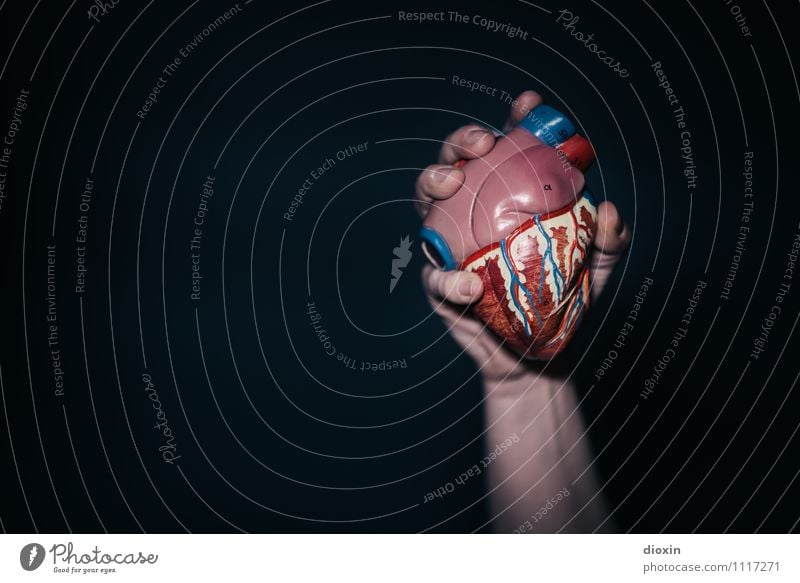 savoury Healthy Health care Illness Arm Hand Heart Cardiovascular system To hold on Medication Organ Organ donor Musculature Blood Pump Heart attack Hearty