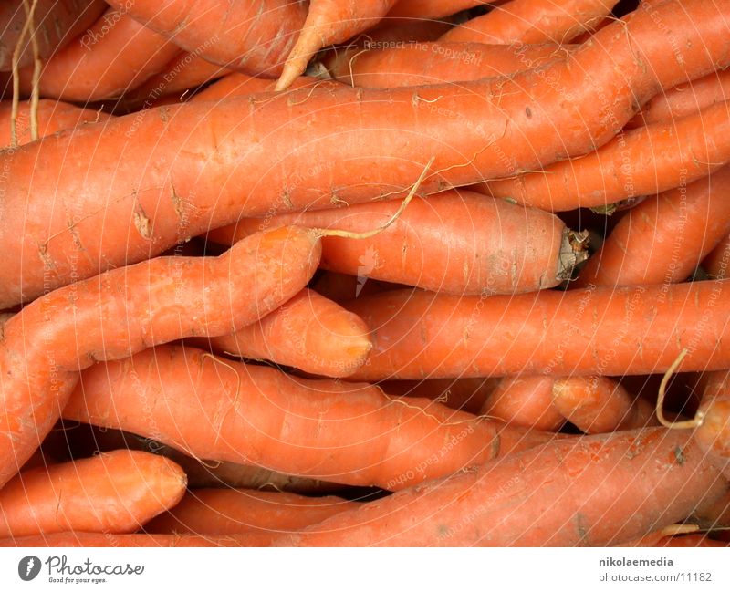 carrots Carrot Healthy Demeter Markets