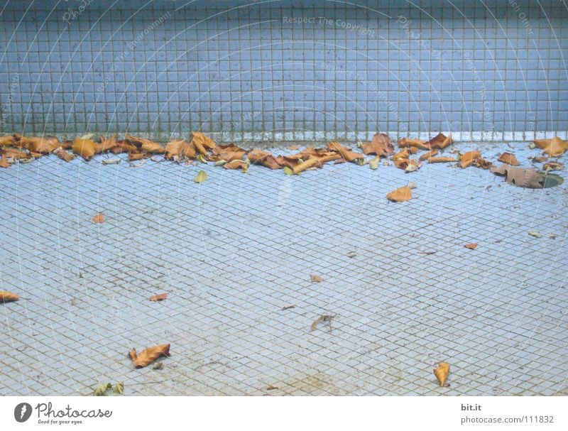 end of season flaked Autumn Sunbathing Early fall Swimming pool Well Break Bathroom Holiday season Closed Extinct End of the season Mosaic Empty Loneliness