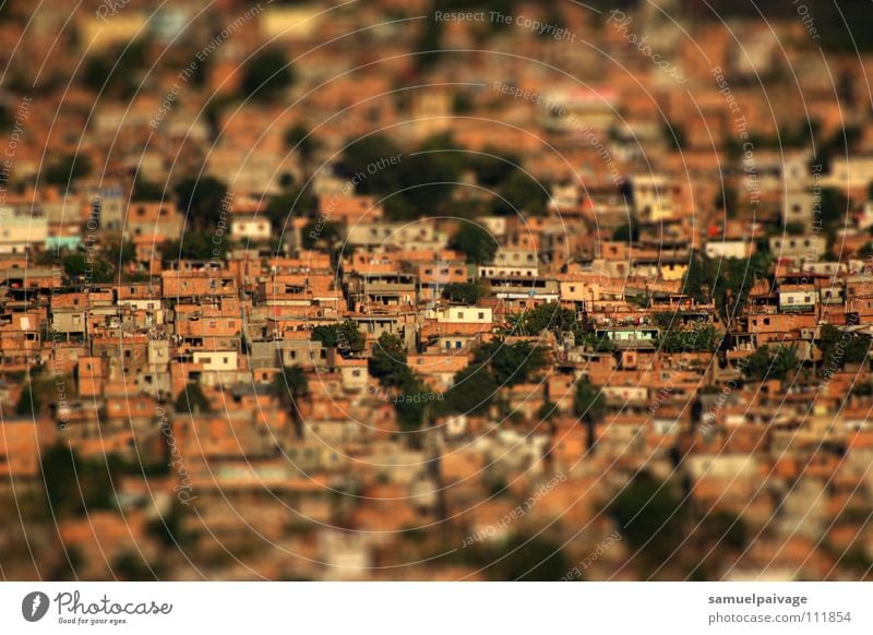 Stacked up Slum area Bra Living or residing Samuel Gê favela casas homes tilt shift serra landscape Tilt-Shift