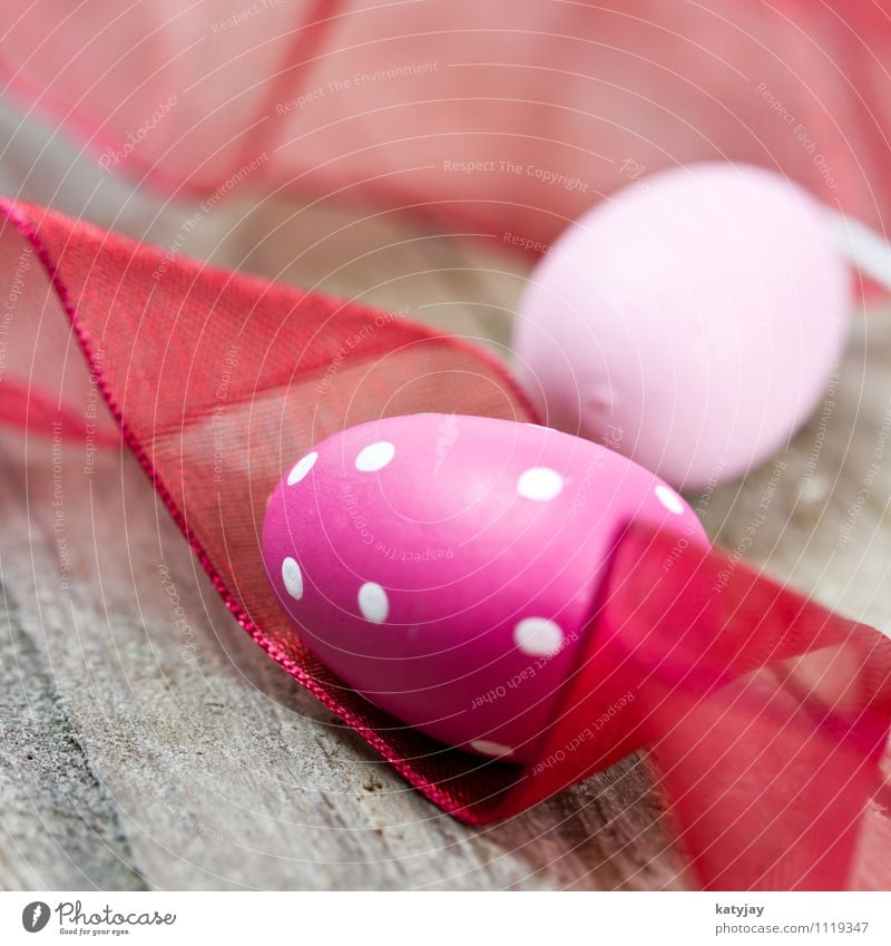 Easter eggs Easter egg nest Colour Pink Easter Monday Background picture Happiness Egg Easter Bunny Spring Near Violet Close-up Workshop Red Decoration