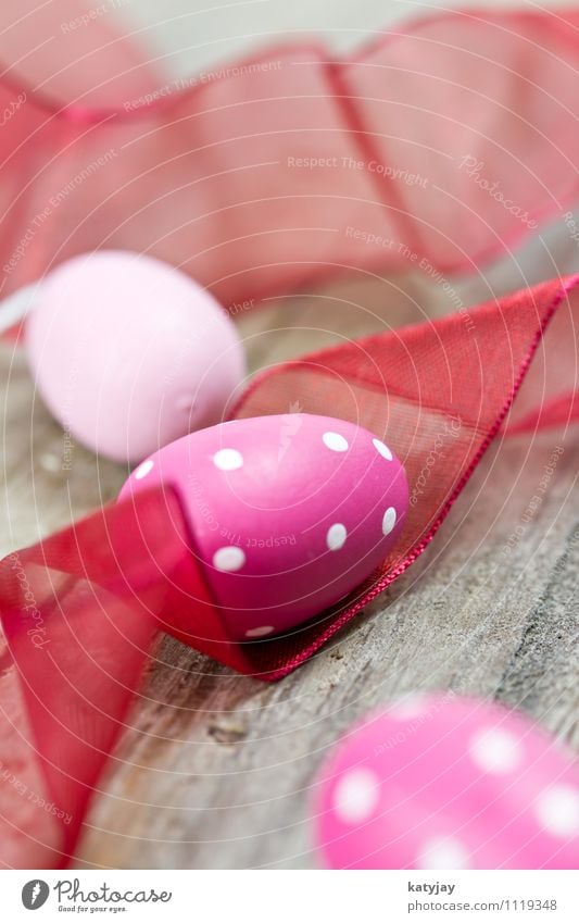 Easter eggs Easter egg nest Colour Pink Easter Monday Background picture Happiness Egg Easter Bunny Spring Near Violet Close-up Workshop Red Decoration