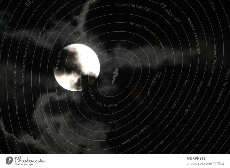 The Moon is shining down Night Clouds Night shot Celestial bodies and the universe full bright disc Sky black as night night of the full moon