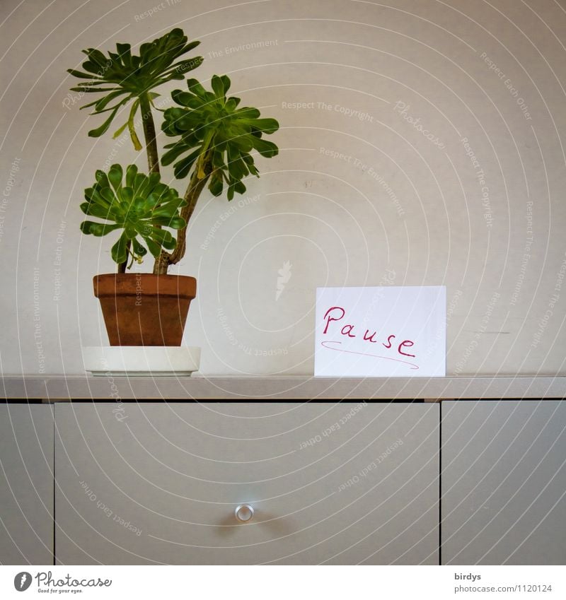 break, sign in an office. simple plant and filing cabinet Living or residing Interior design Decoration Office work Workplace Pot plant Paper Characters Signage