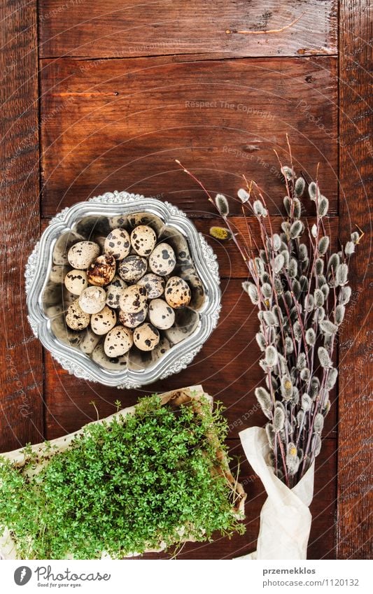 Easter composition of eggs, cress and catkins on wooden table Decoration Table Spring Paper Wood Metal Natural Brown Green Tradition bobwhite candid Copy Space