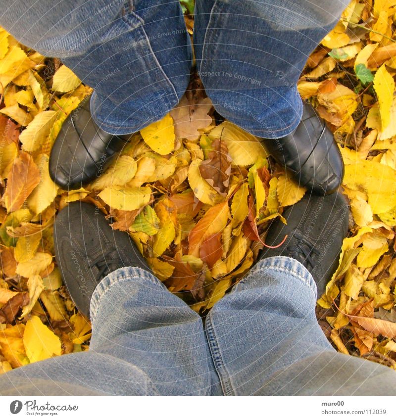 leaf legs Leaf Autumn Footwear Pants Yellow Ochre Brown Black Boots To go for a walk Woodground Leisure and hobbies Feet Legs Jeans Blue Orange geox Nature