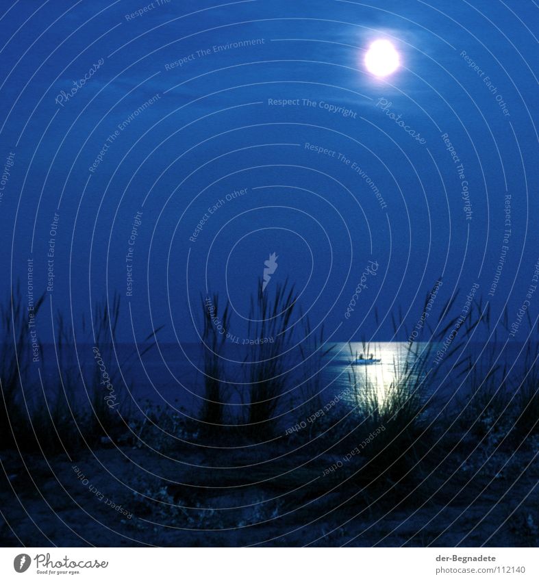 Moonlight 78 Beach Grass Stemless carline thistle Thistle Romance Night Dark Twilight Reflection Fisherman Fishing boat Angler Greece Horizon Full  moon Ocean