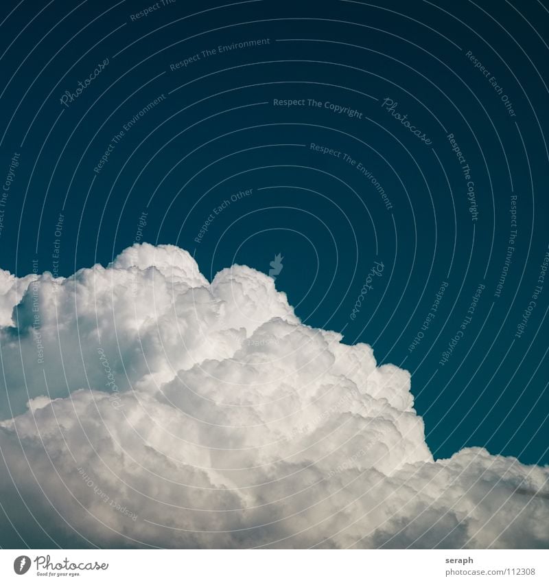 The Cloud Clouds Sky Freedom Ease Easy Blue Background picture Cumulus Wind Steam Air fair weather cloud Structures and shapes Fluffy Soft Hover Weather