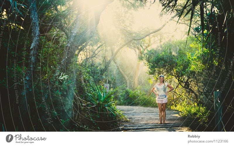 A Fräulein stands in the forest... Woman Adults 1 Human being Nature Landscape Plant Sunlight Summer Tree Garden Park Forest Virgin forest Oasis