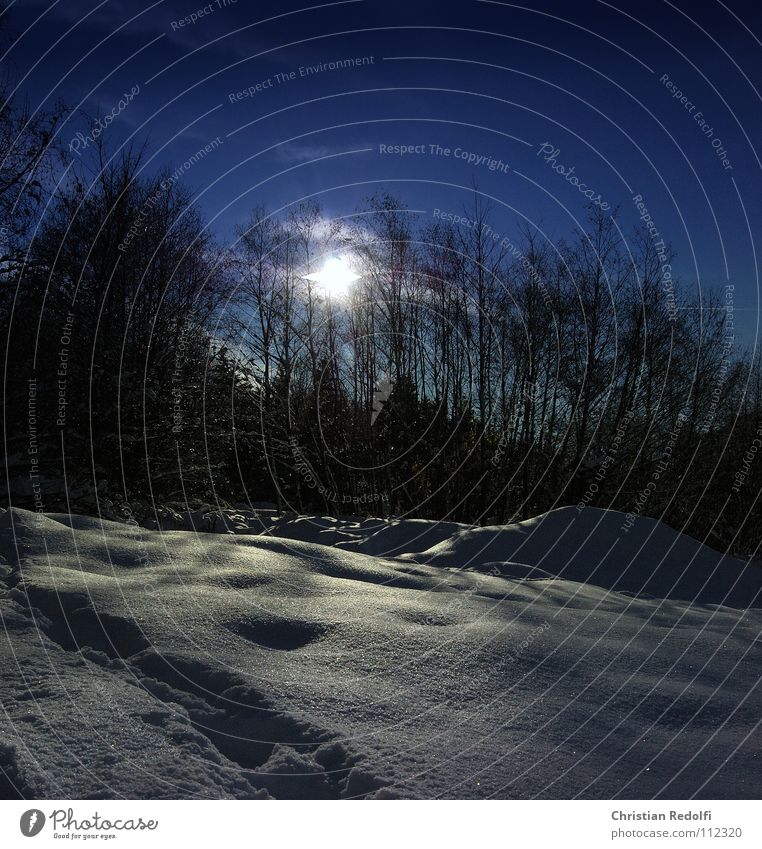 onset of winter Snowscape Winter Powder snow To go for a walk Edge of the forest Beautiful Esthetic Cold Ice Landscape Tree Sky Lanes & trails