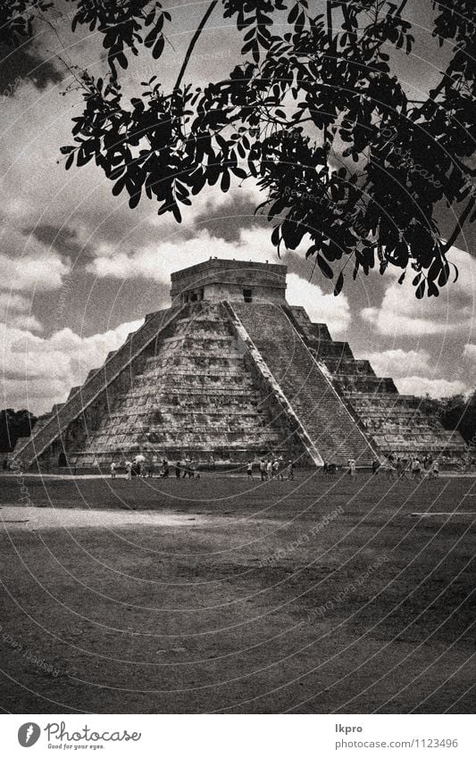 the stairs of chichen Plant Clouds Tree Leaf Castle Brown Gray White corner itza step Maya Aztec Mexico Temple marble kukulkan Chichen Itza Quetzalcoatl pyramid