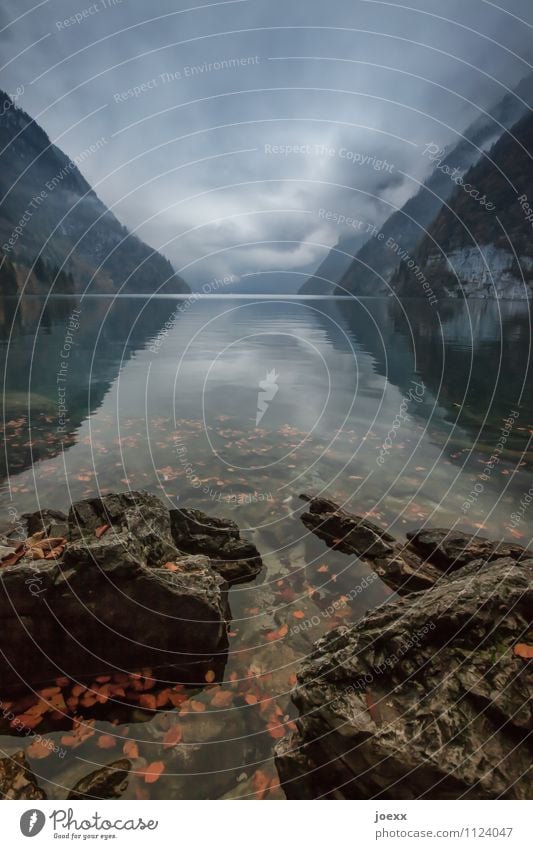 bleak prospects Vacation & Travel Mountain Landscape Water Clouds Autumn Alps Lakeside Lake Königssee Stone Threat Sharp-edged Gigantic Large Cold Brown Gray