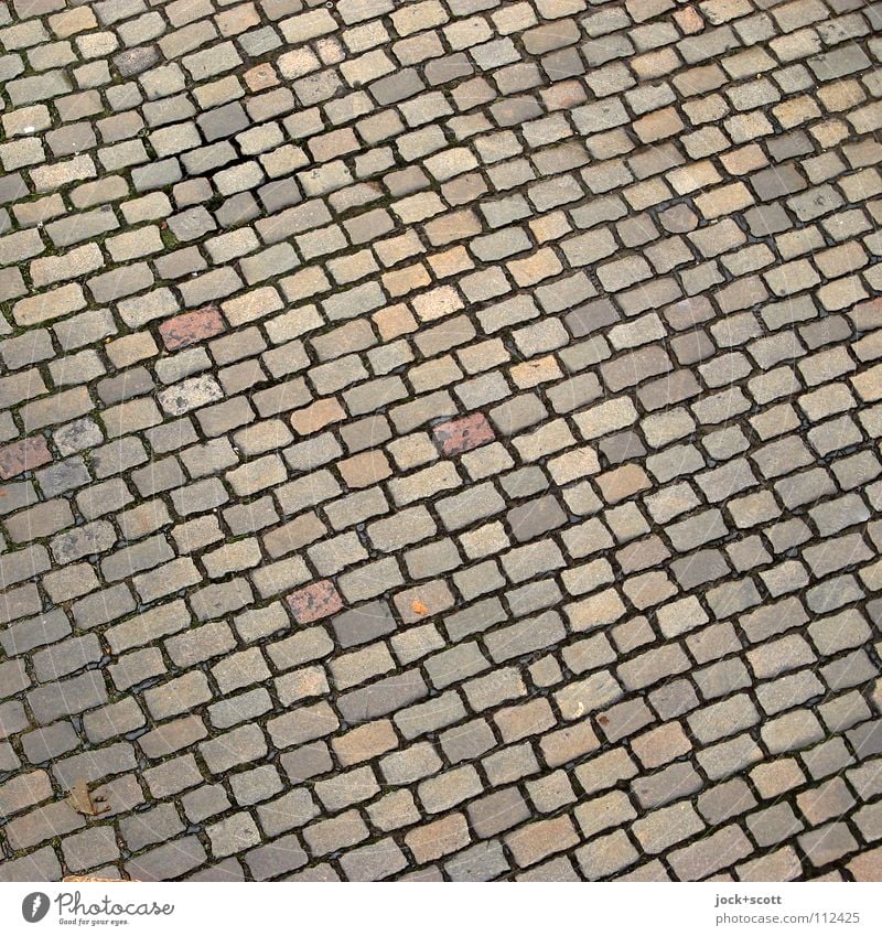 Square sloping cobblestone Traffic infrastructure Street Many Surface Seam Corner Undulating Pavement Traffic lane Part Cobblestones Background picture Detail