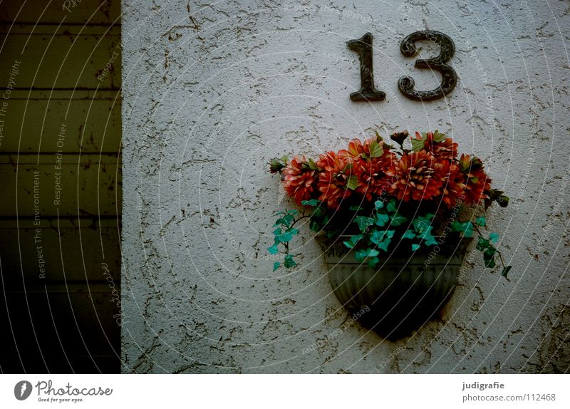 Thirteen 13 Digits and numbers Popular belief House number Wall (building) Plaster Garage Highway ramp (entrance) Jewellery Flower Flower arrangement