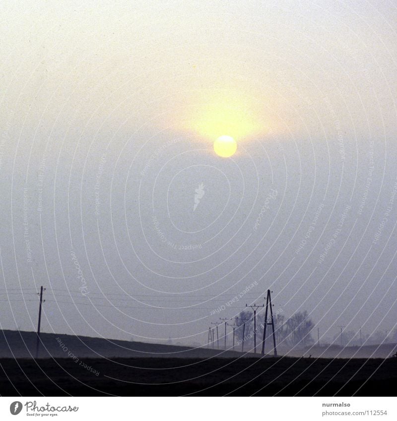 Good morning VIIII Fog Field Electricity Oberland Autumn Creepy Eerie Wolf Mecklenburg-Western Pomerania Home country Agriculture Empty Harvest Plow Horizon