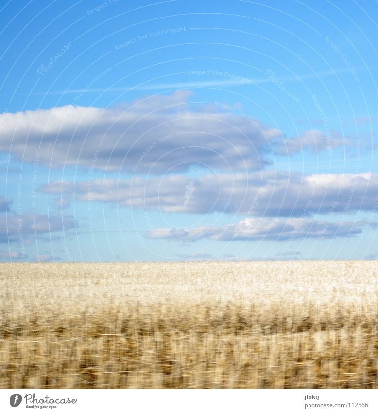 White field Field Wheat Stubble field Clouds Sky Driving Speed Snapshot Vapor trail Autumn Grain rogge Stopper Blue Distorted Harvest