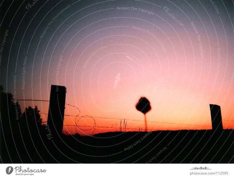 idyllic Far-off places Summer Art Environment Nature Landscape Plant Sky Cloudless sky Beautiful weather Wild plant Meadow Field Brandenburg Deserted Illuminate