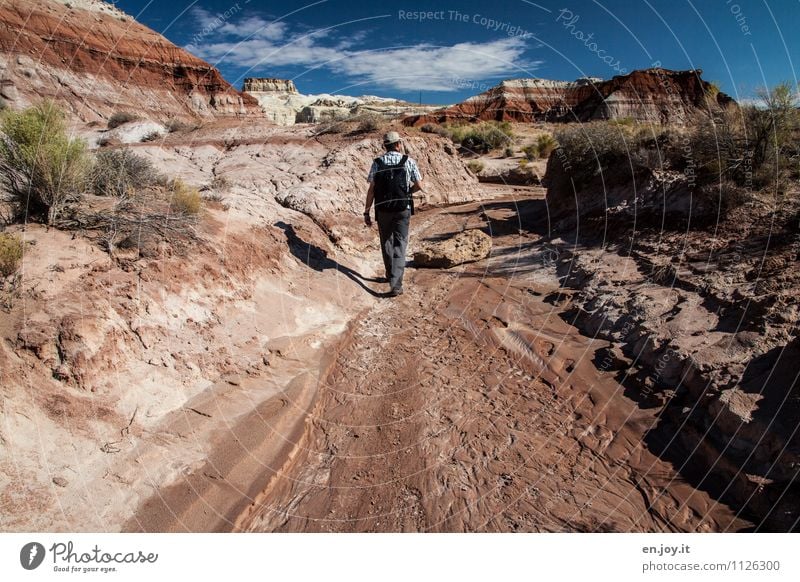 dry wash Vacation & Travel Tourism Adventure Summer Summer vacation Hiking Masculine Man Adults 30 - 45 years Nature Landscape Sky Rock Canyon Desert Riverbed