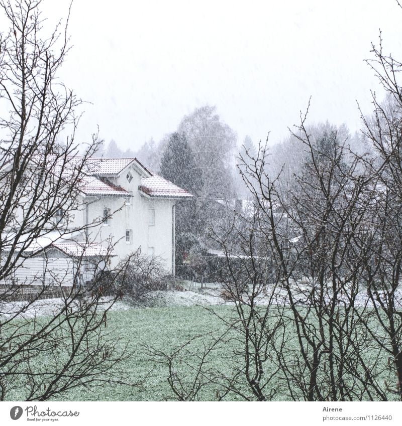 snow falling on meadows House (Residential Structure) Garden Clouds Winter Bad weather Snow Snowfall Grass Bushes Village Outskirts Detached house Settlement