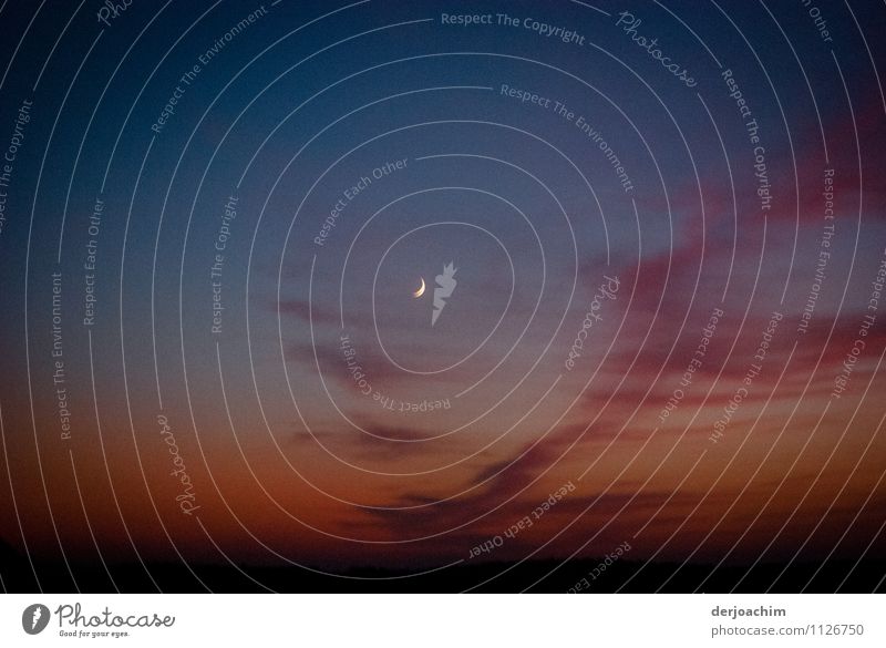 Moonrise in the Outback Northern Territory. Australia.with beautiful veil clouds. Joy Calm Leisure and hobbies Trip Environment Night sky Sunrise Sunset Summer