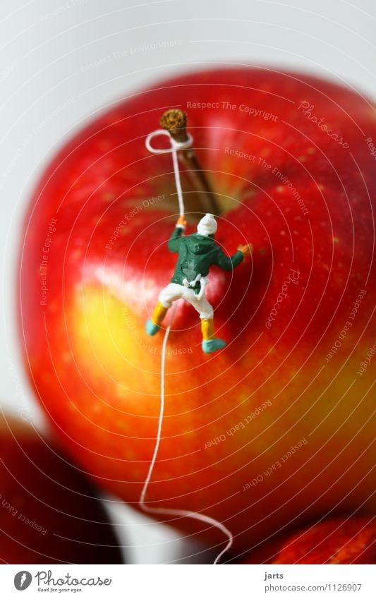 vitamin junkie Fruit Apple Climbing Mountaineering Sportsperson 1 Human being Healthy Vitamin Red Colour photo Interior shot Studio shot Close-up Detail