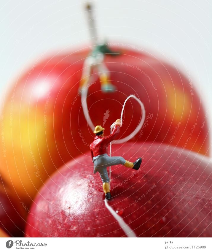 yippie yay Fruit Apple Joy Trip Adventure Mountain Hiking 2 Human being Bravery Climbing Vitamin Colour photo Multicoloured Interior shot Studio shot Close-up