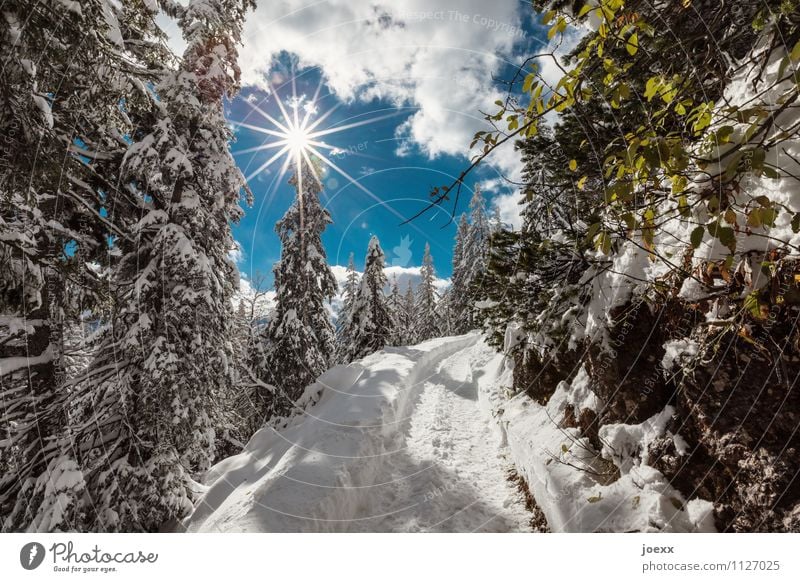 Let's go Trip Winter Snow Mountain Hiking Landscape Sky Clouds Sun Sunlight Weather Beautiful weather Forest Lanes & trails Bright Idyll Cold Vacation & Travel