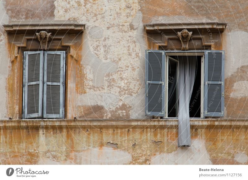 Rapunzel, lower the curtain! Vacation & Travel Living or residing Flat (apartment) Trastevere Rome Italy House (Residential Structure) Wall (barrier)