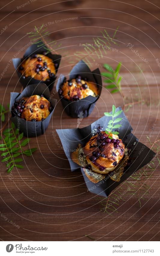 berries Cake Dessert Candy Nutrition Breakfast Buffet Brunch Picnic Delicious Sweet Muffin Colour photo Interior shot Deserted Neutral Background Day