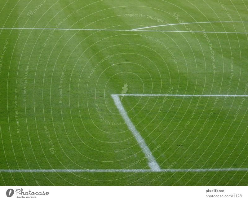 football turf Penalty area Rostock Green White Soccer Lawn Line