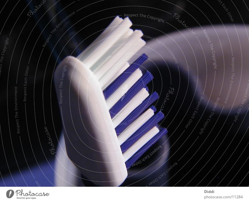 mouthbrush Toothbrush Bristles Things Mouth