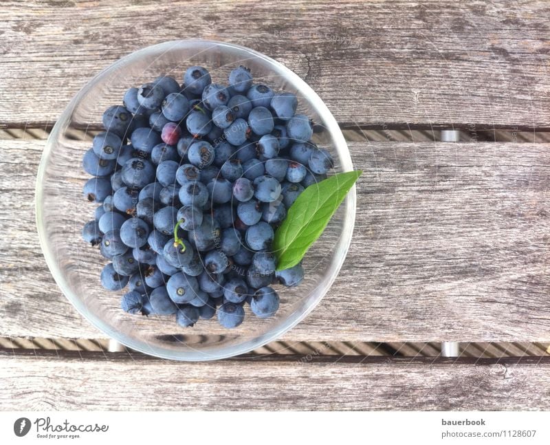 blueberry harvest Food Fruit Cake Dessert Blueberry Nutrition Organic produce Vegetarian diet Juice Bowl Healthy Wellness Well-being Summer Flat (apartment)