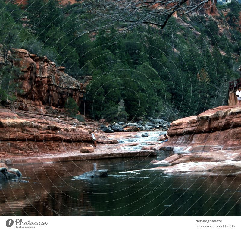 natural bath Grand Canyon Sedona Arizona Americas South West Open-air swimming pool Conifer Leisure and hobbies Brook Current Fir tree Spruce Rapid Red