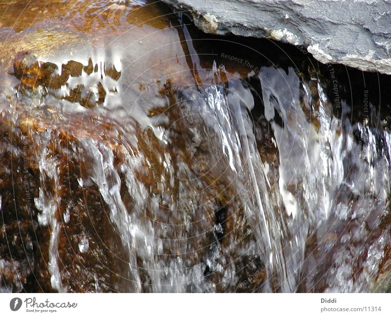 Water Wet Flow Stone River