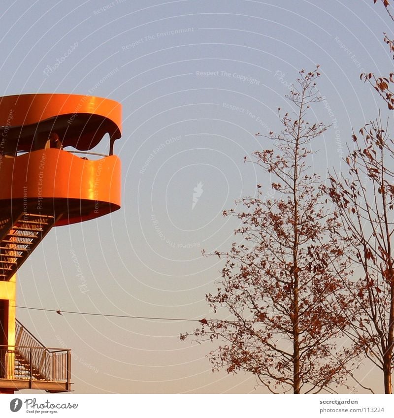 Shoot the bird down! Hunting Blind Vantage point Tourist Room Warning colour Steel Unafraid of heights Window Looking Sky Sightseeing Vacation & Travel