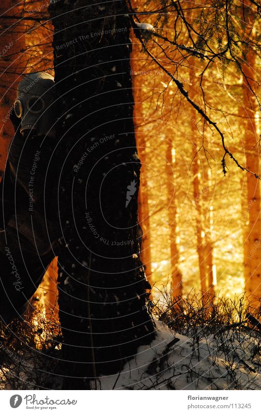 man in mask Massive mysteriously dark forest next to a black tree breath sun