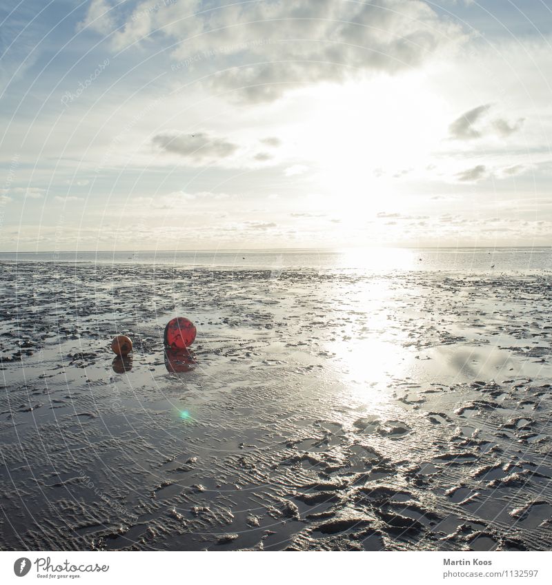 So watt Environment Nature Landscape Elements Earth Sand Climate Weather Coast North Sea Mud flats Walk along the tideland Buoy Maritime Soft Orange Red Horizon