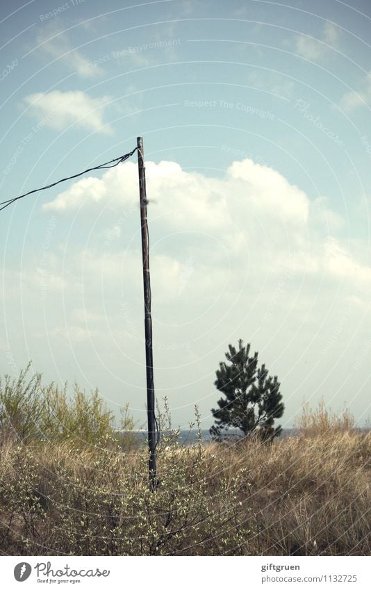 there I stand now... Environment Nature Landscape Plant Elements Sand Water Sky Clouds Sun Summer Climate Weather Beautiful weather Tree Grass Coast Beach