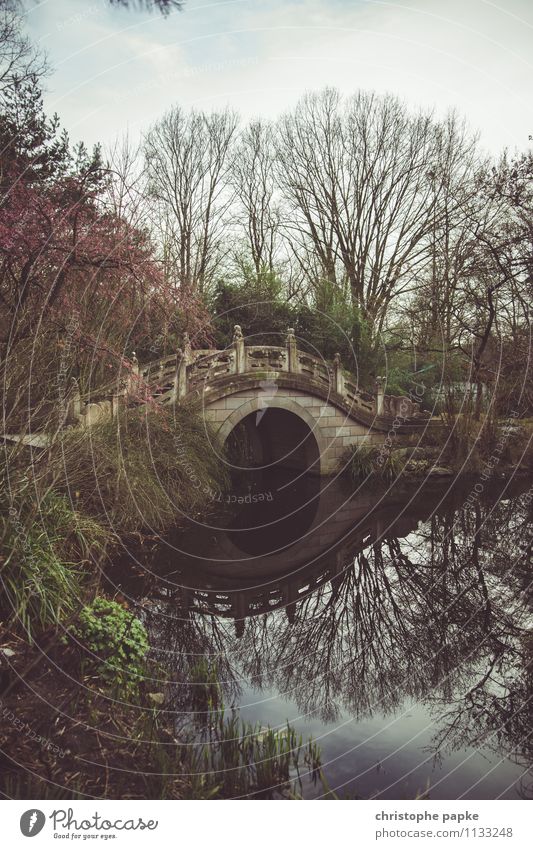 Bridge over silent water Vacation & Travel Trip Far-off places Spring Garden Park Pond Manmade structures Relaxation Exotic Historic Asian architecture Chinese