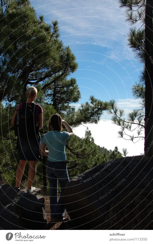 ray of hope Vantage point Above the clouds Sunlight Light Leisure and hobbies Hiking Break Woman Dazzle Clouds Absorbent cotton Forest Tree Coniferous trees