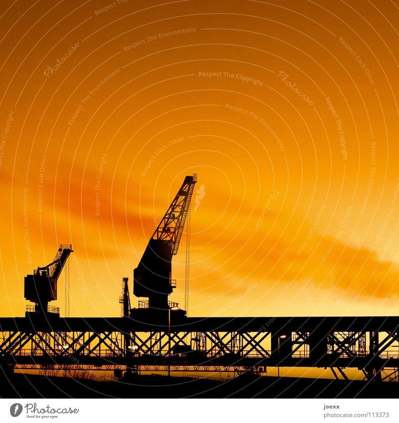 Truck cranes on rails in the orange evening sky Dusk Dockside crane Crane Work and employment Cargo-ship Back-light Harbour Lift The Ruhr Light Smoke Silhouette