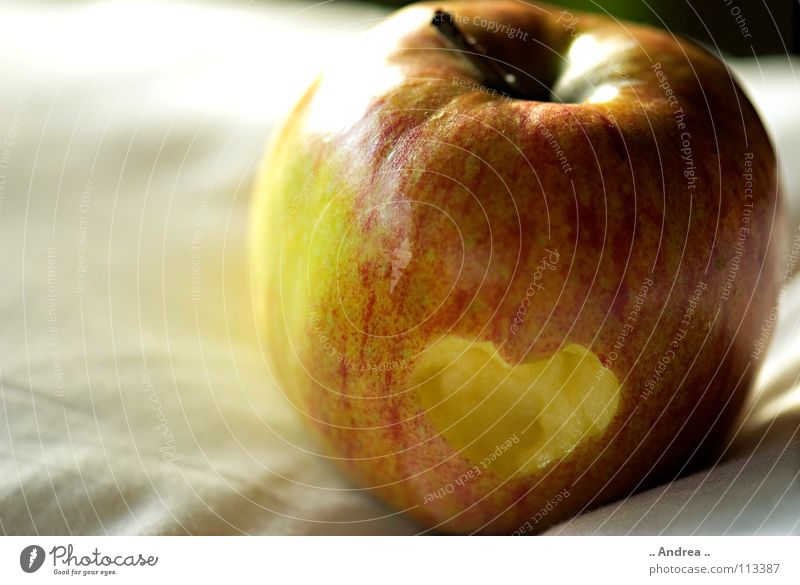 heartache Fruit Apple Heart Love Yellow Red White Longing Apple tree Colour photo