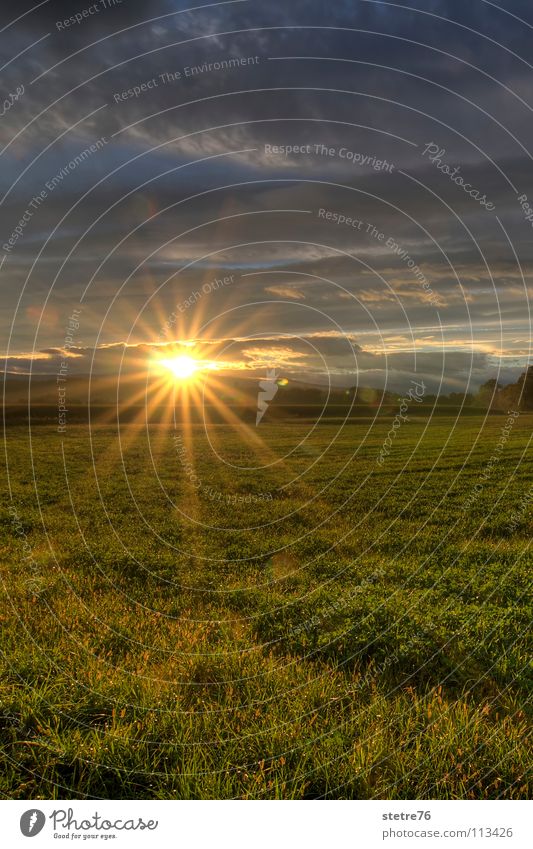 golden sunset Sunset Clouds Field Meadow Sunbeam Green Austria Agriculture Moody Relaxation Sky Landscape Gold Evening