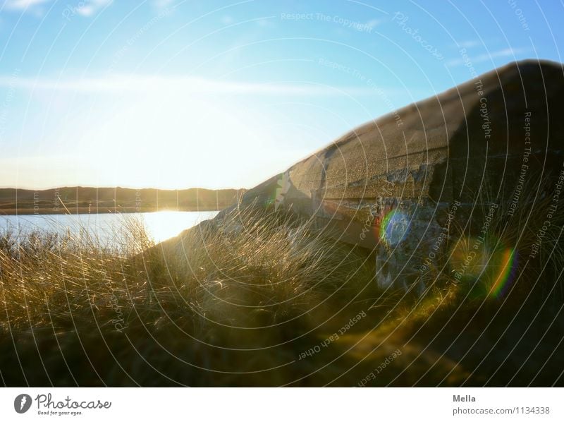 backlight bunker Environment Nature Landscape Sun Sunrise Sunset Sunlight Beautiful weather Grass Lakeside Pond Manmade structures Dugout Wall (barrier)